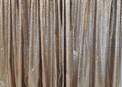 Champagne Sequin Photo Booth Drape